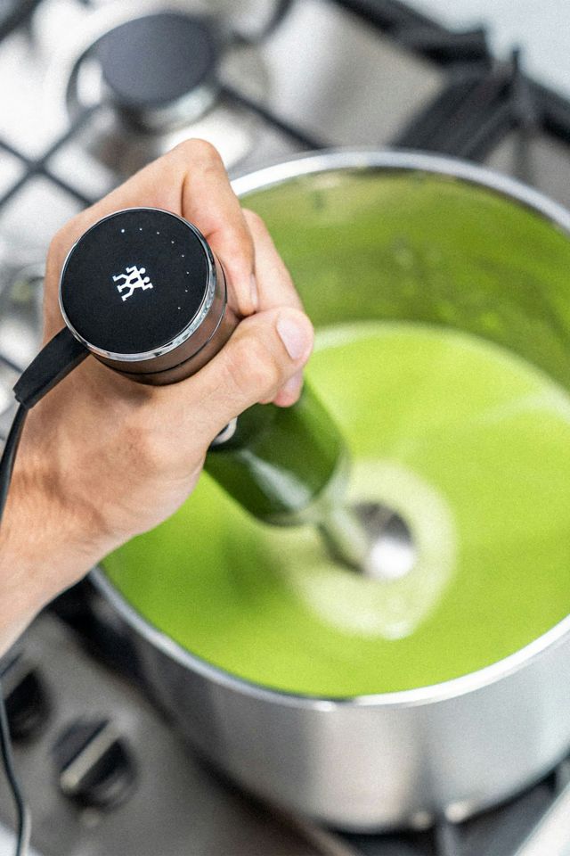 ZWILLING Enfinigy Immersion Hand Blender #1
