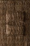 Printed Cinched Core Sham Set