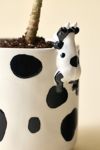 Moo Peeking Cow Ceramic Planter