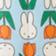 Miffy Tulip
