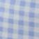 Blue Gingham