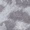 Snow Leopard