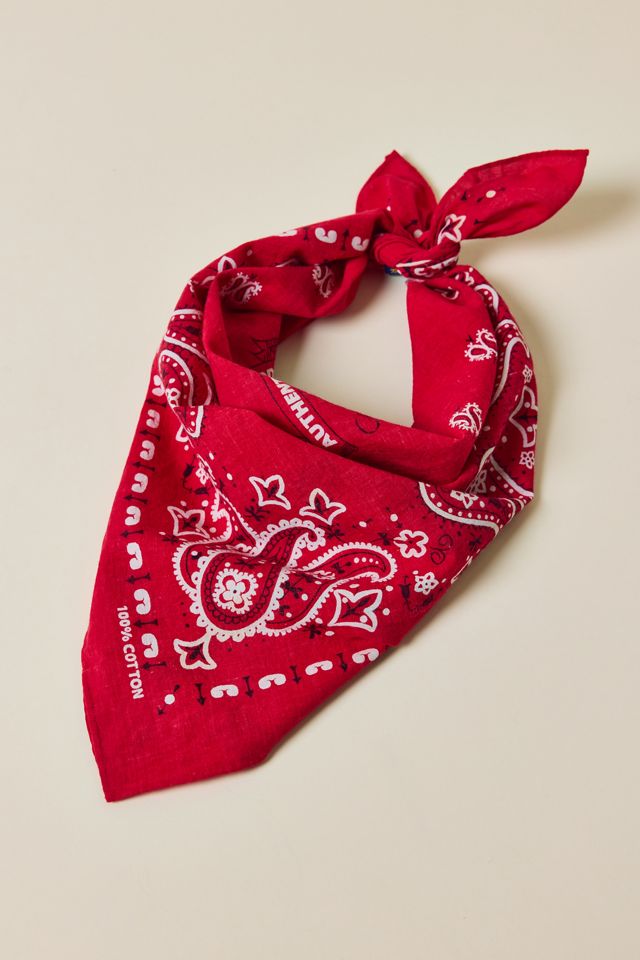 Polo Ralph Lauren RL Classic Paisley Bandana | Urban Outfitters