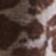 Animal Print