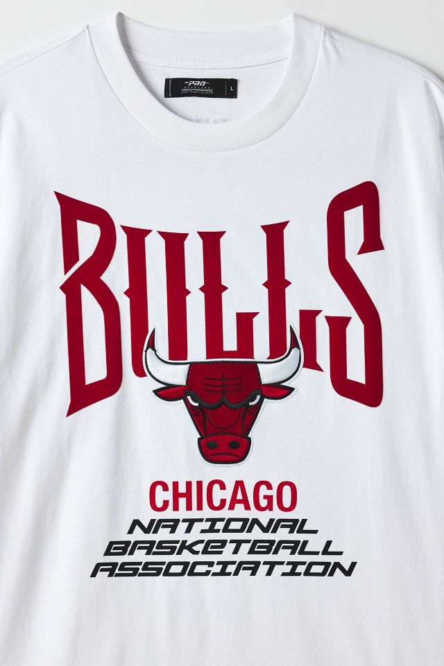 Pro Standard NBA Chicago Bulls Team Logo Tee #2