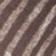 Brown Multi