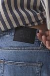 BDG Embroidered Centipede Baggy Skate Fit Jean