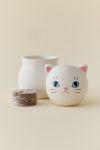 Corocoro Cats Rolling Head Planter & Grow Kit