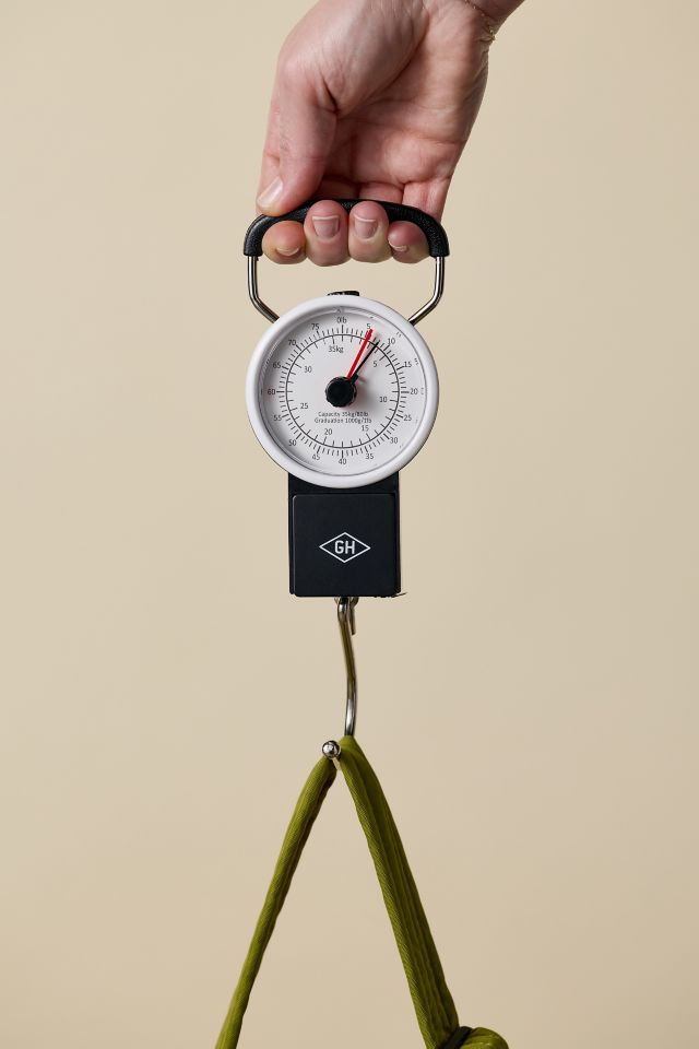 Handheld Luggage Travel Scale #1