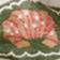 Picnic Scene Woven Throw Blanket