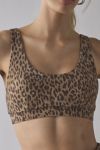 THE UPSIDE Panthera Daisy Scoop Neck Sports Bra