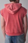 BDG Bonfire Cutoff Cropped Hoodie Sweatshirt