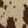 Spotty Cow