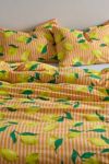 Lemon Graphic Stripe Patterned Duvet Set