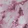 Pink Daisy Blur