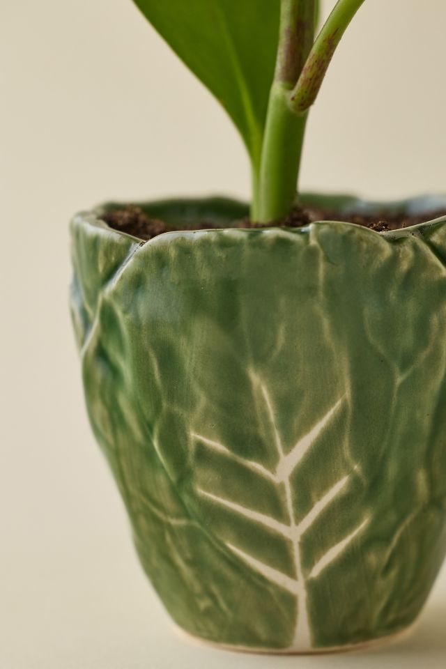 Cabbage Shape 3” Ceramic Planter #1