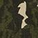 Animal Camo