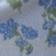 Blue Floral