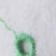 White + Green Eyelet