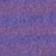 Lucid Fuschia