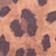 Lucky Leopard