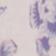 Deep Periwinkle