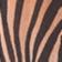 Tiger Print