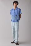 BDG Hickory Stripe Baggy Skate Fit Double Knee Utility Jean