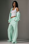 Nike Sportswear Phoenix Fleece High-Rise Wide Leg Sweatpant