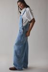 BDG Rih Extreme Barrel-Leg Overall