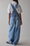 BDG Rih Extreme Barrel-Leg Overall