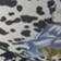 Blue Animal Print