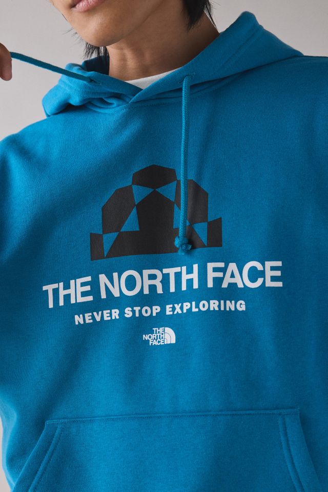 The North Face Evolution Graphic Hoodie Sweatshirt #3