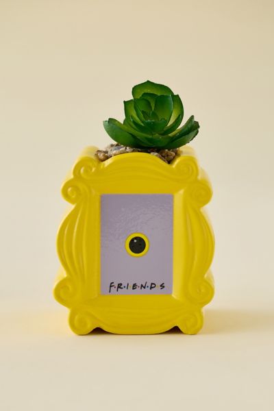 Urban Outfitters Friends Peephole Frame Succulent Planter In Yellow At