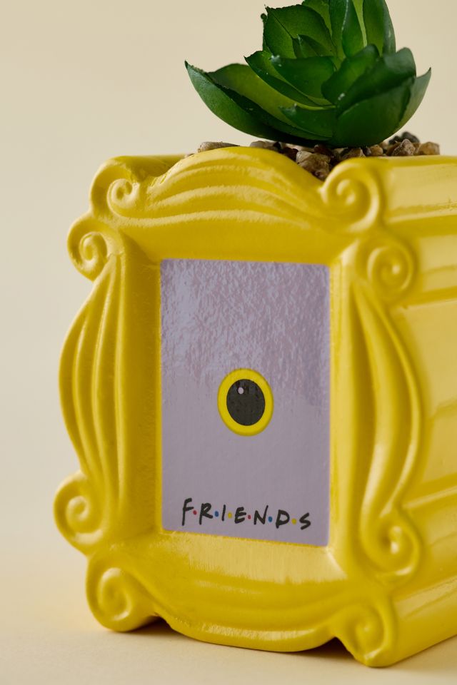 Friends Peephole Frame Succulent Planter #1