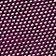 Wild Plum