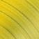 Highlighter Yellow