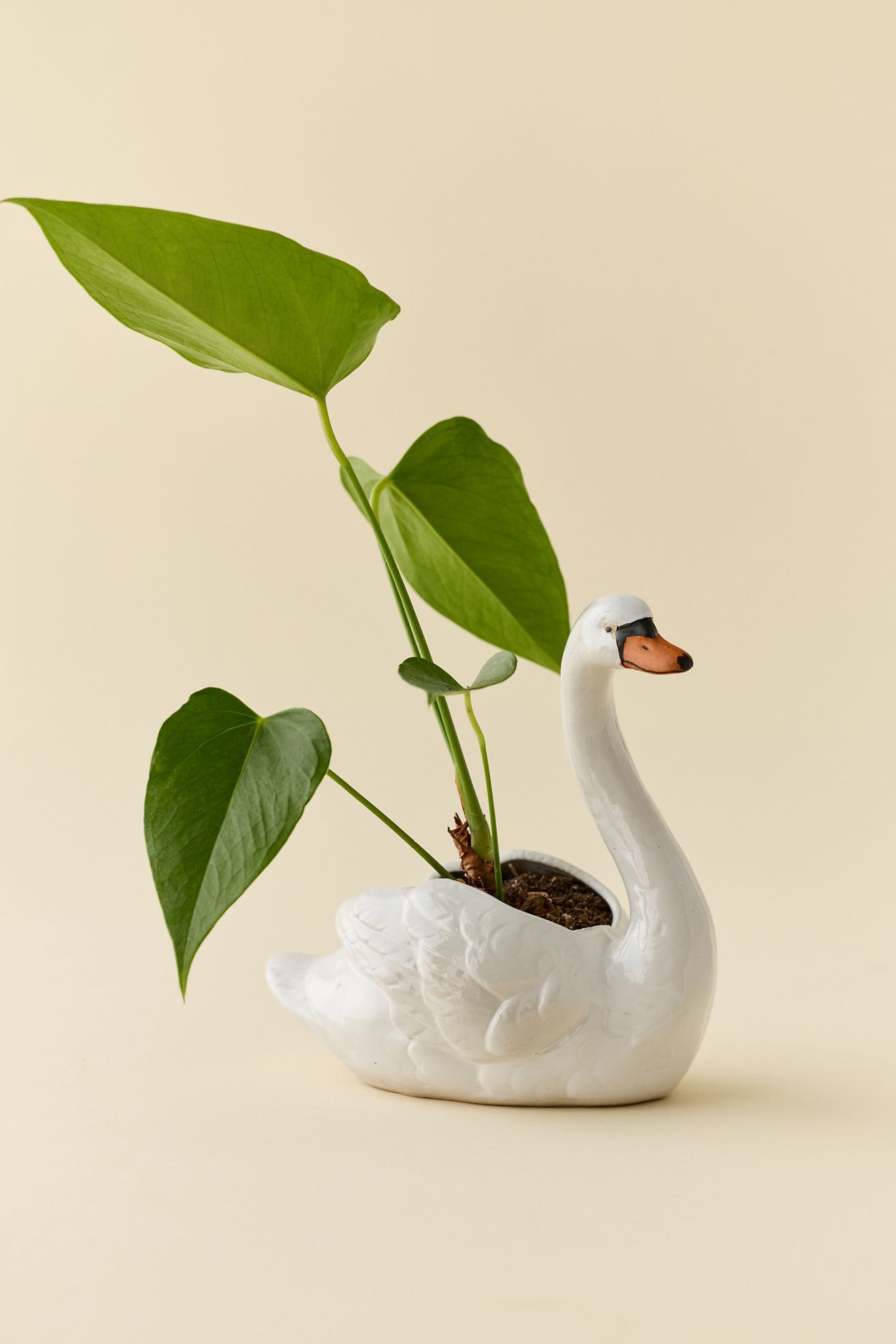 Swan Shape Ceramic Planter - White, Regular, ONE SIZE