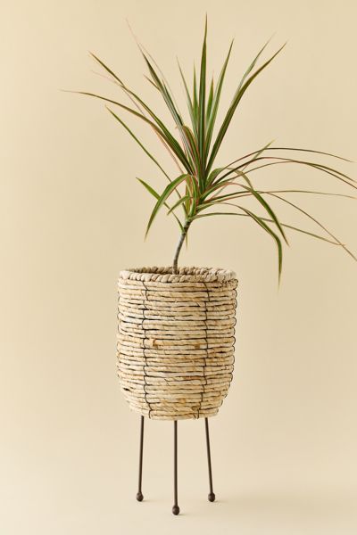Urban Outfitters Woven Rattan Basket Planter In Brown At