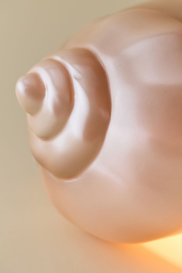 Shell Shaped Table Lamp #2