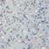 Hally Hair Glitter Shade Stix One-Day Hair Color