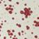 Red Ditsy Floral