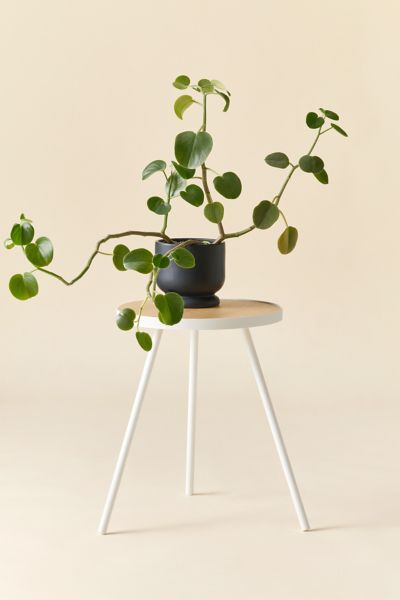 Urban Outfitters Violet Metal Tri-leg Side Table In White At