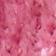 Vinito/Cream/Ribbon