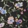 Black Multi