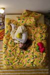 Fruit Print + Breezy Cotton Percale Bedding Set Bundle